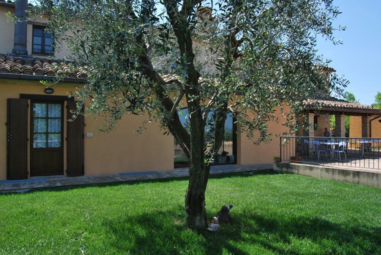 Cadabo Villa Montecarotto Eksteriør billede